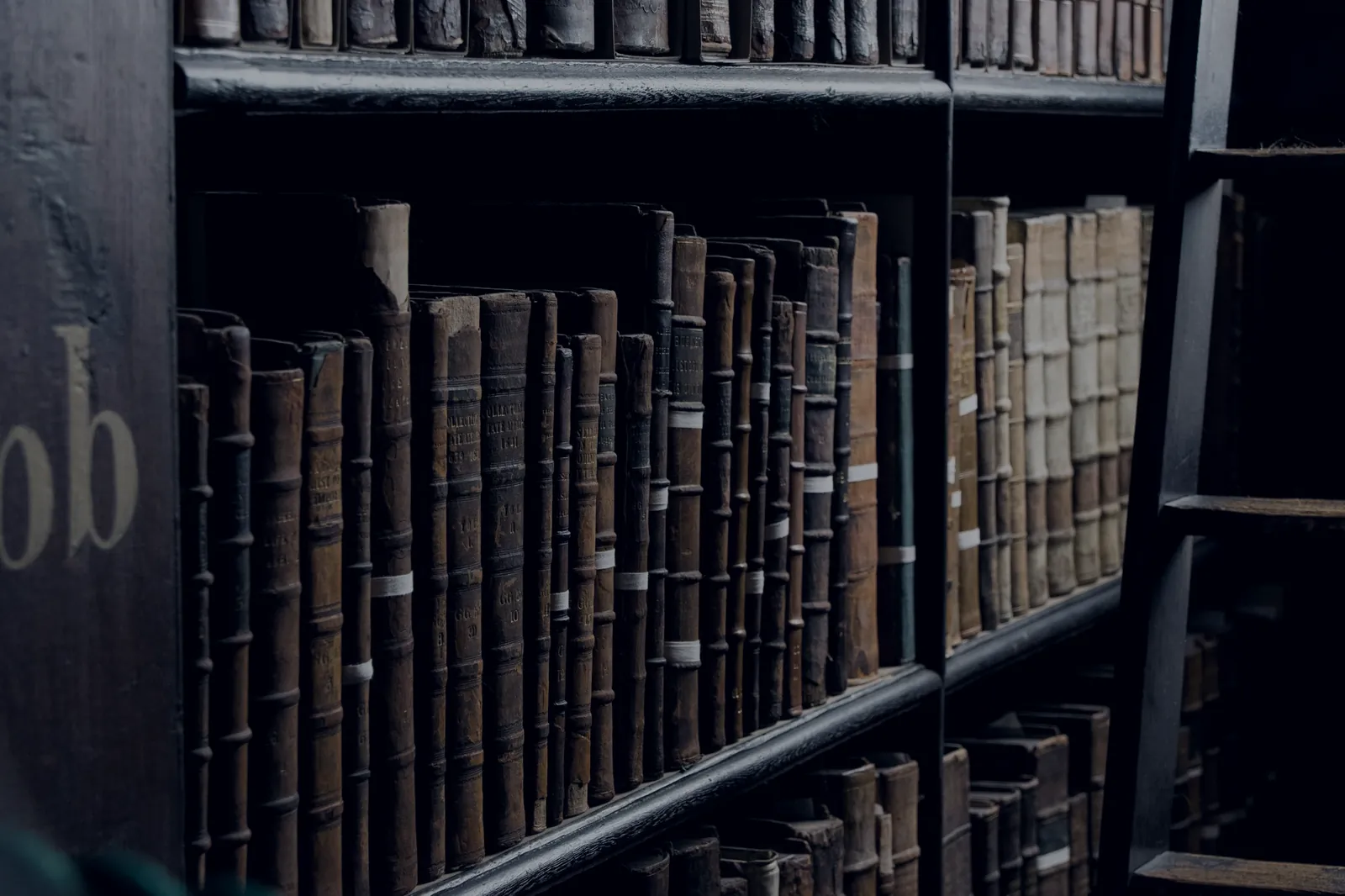 Rows of old bound volumes on a library shelf, the kind of holdings E-bibliotekar catalogues.